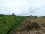 20016P1010866.JPG