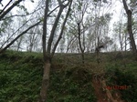52893CIMG4983_调整大小.JPG