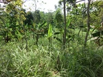 31528CIMG1394.JPG