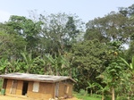 49723CIMG6060.JPG