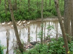 52108CIMG0092.JPG
