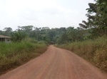 49211CIMG5548.JPG