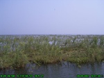 1380R0015139_tag.jpg