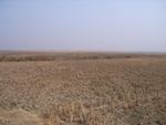 4645RIMG0071-2.JPG