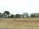 35766DSC02525.JPG