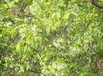 1724620042008(32).JPG