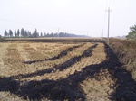 3281R0017315.JPG