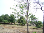 17408100_2094.JPG