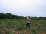 1170702-shrubland+chennab.jpg