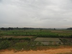 26134DSC01177.JPG