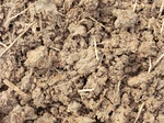 50776CIMG1405.JPG