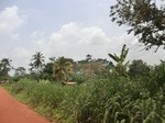 48983CIMG5320.JPG