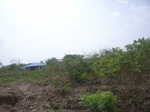 4032RIMG0336.JPG