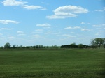 29034CIMG0733.JPG