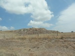 35444DSC02956.JPG