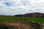 28609P1010626-1.JPG