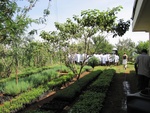 32155IMG_0683.JPG