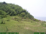 1592R0015245_tag.jpg