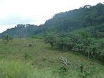 25325P1020169.JPG
