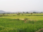 17473100_2162.JPG