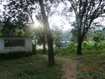 53072CIMG4377_调整大小.JPG