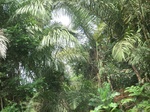49539CIMG5876.JPG
