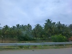 43356CIMG6410.JPG
