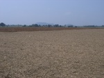 27744RIMG0022.JPG