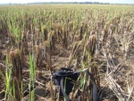 442520071010gps 112.jpg