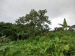 45561CIMG2646.JPG