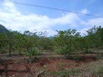 21418RIMG0042.JPG