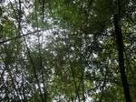 45030CIMG2115.JPG