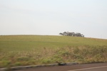 2023-11-13_14-26-36_F56337D1-7B8F-4C2E-9B51-5B49114EAA81.jpeg