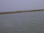 1651R0015275_small.jpg