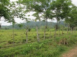 32012IMG_5545.JPG