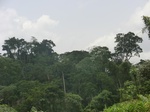 51164CIMG5792.JPG