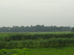 24505DSC00420.JPG