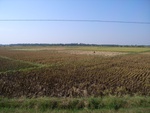 442020071010gps 107.jpg