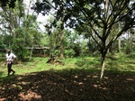 46492CIMG0781.JPG
