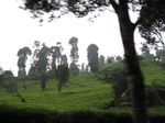 18043IMG_3842.JPG