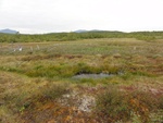 24915DSC00022.JPG