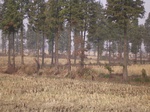 3088 021.jpg