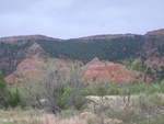 16691RIMG0243.JPG