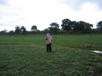 1171709-lakebed-grassesa.jpg