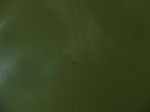 58242CIMG2689.JPG