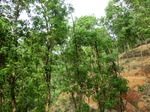 53379CIMG6683.JPG