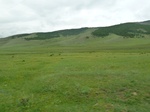23770P1040849.JPG
