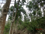 53332CIMG6616.JPG