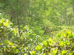 495919042008(46).JPG