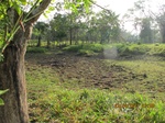 29976IMG_5376.JPG